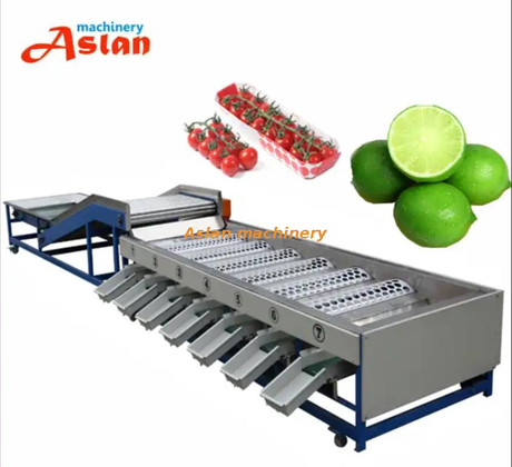 tomato garlic onion size grading machine 