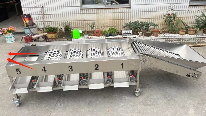 stainless steel sorting machine for orange