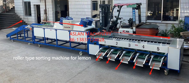 tomato garlic onion size grading machine 