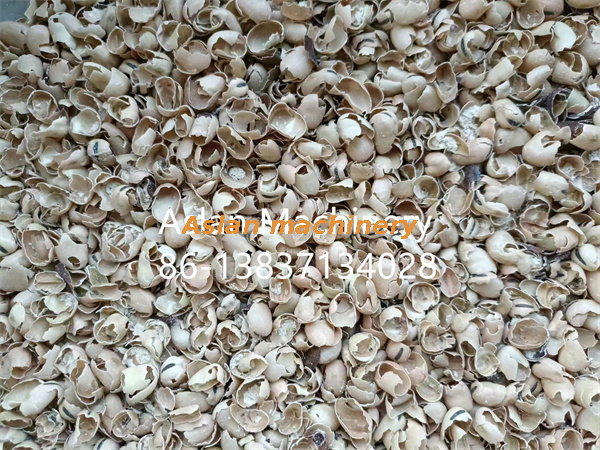 bean sheller04