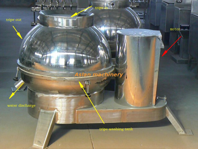 cattle tripe washing cleaning machine 