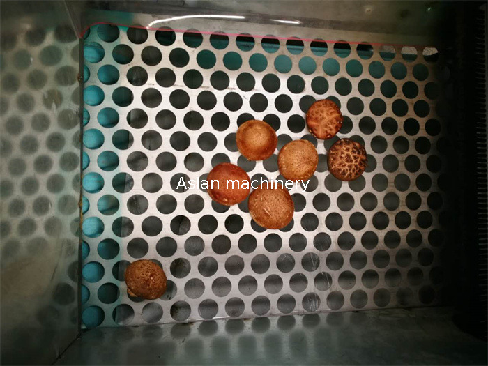 Fresh Mushroom Stem Cutting Machine 