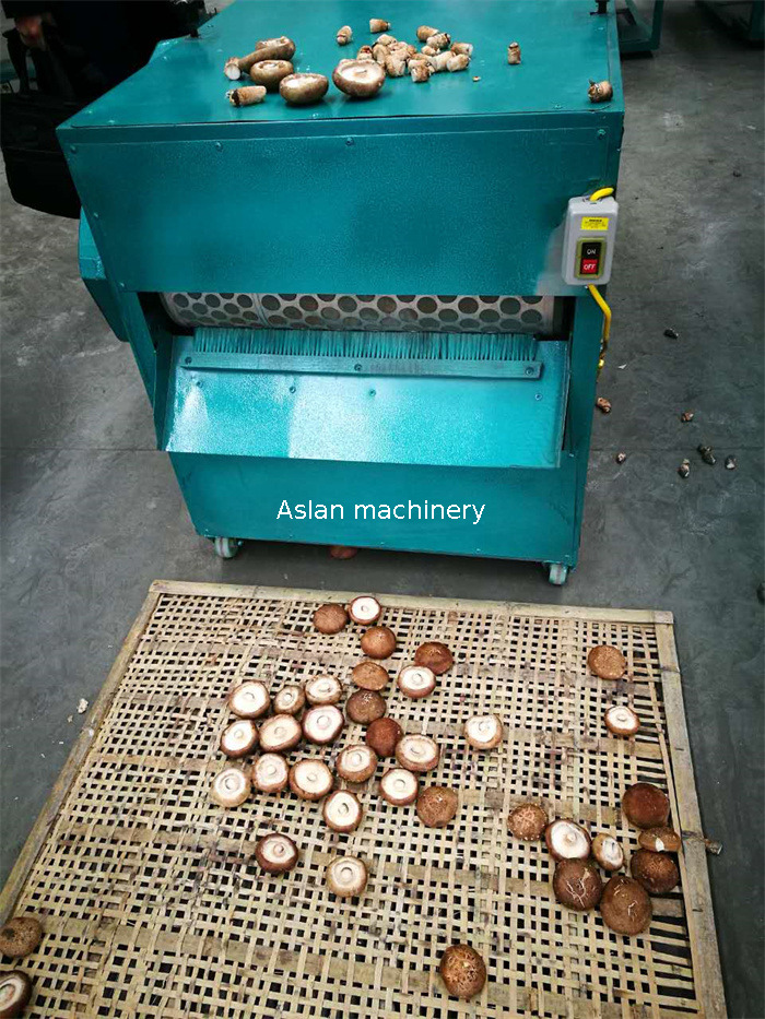 Fresh Mushroom Stem Cutting Machine 