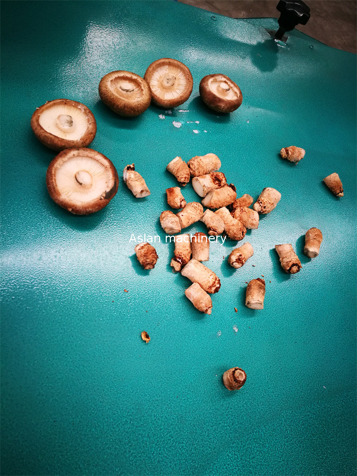 Fresh Mushroom Stem Cutting Machine 