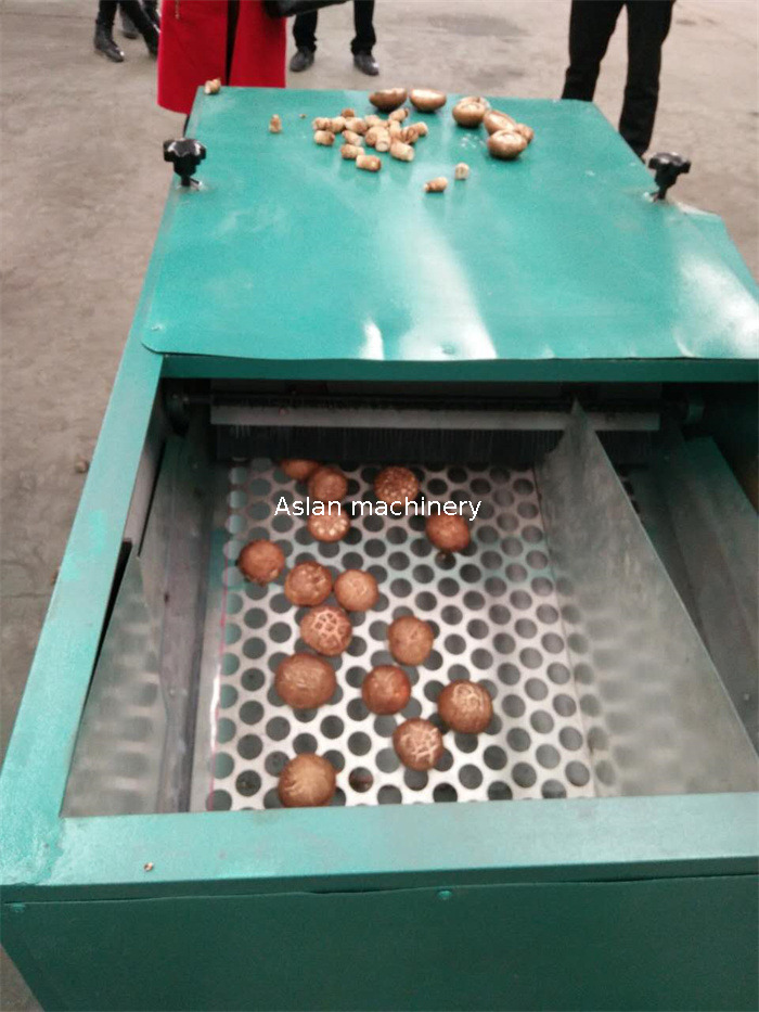 Fresh Mushroom Stem Cutting Machine 