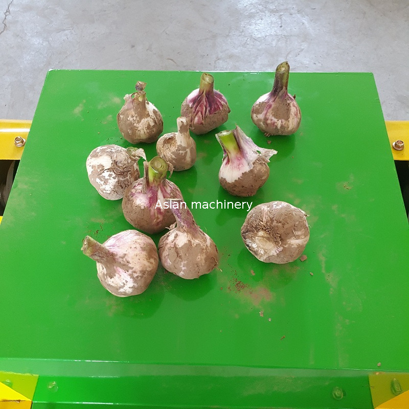 garlic root cutter 7 (2).jpg