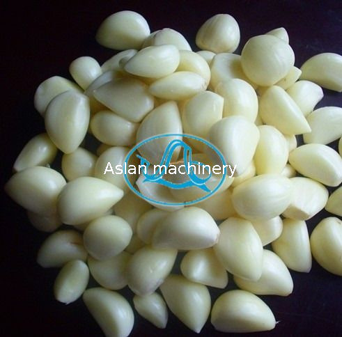 Garlic Clove Peeling Machine 