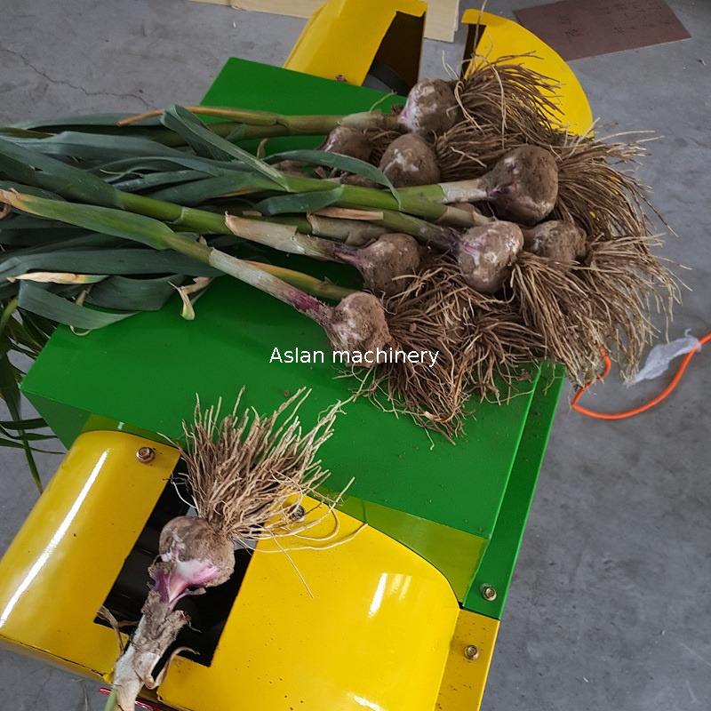 garlic root cutter 7 (1).jpg