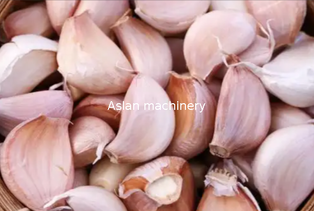 Garlic Separator And Grader Machine 