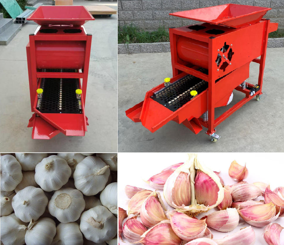garlic separator 02