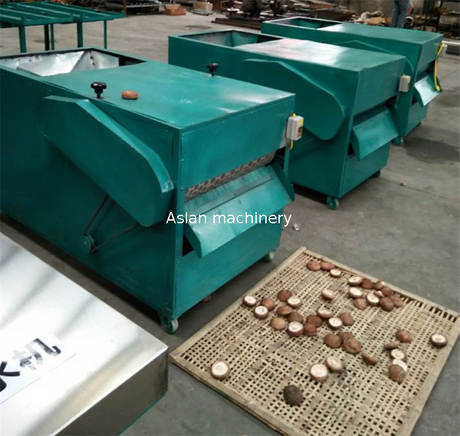 Fresh Mushroom Stem Cutting Machine 