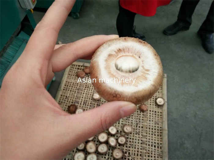 Fresh Mushroom Stem Cutting Machine 